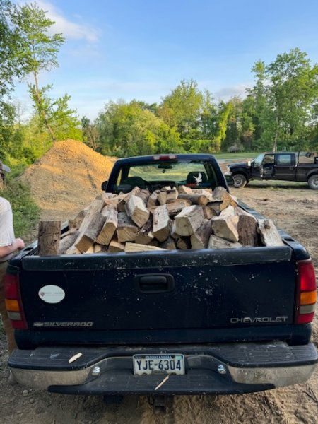 Back To The Log Pile Firewood Hoarders Club