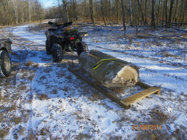 Hauling logs 1[1].JPG