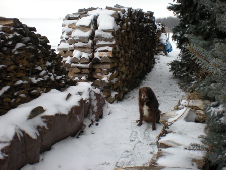 wood 2012 January 008.jpg