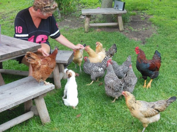 Pet pictures Labor Day weekend 036.JPG