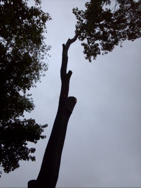 2013-09-21_16-34-07_80.jpg