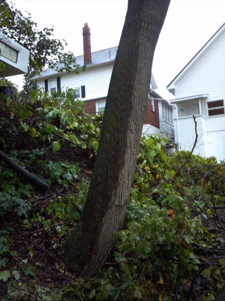 2013-09-21_16-34-11_644.jpg