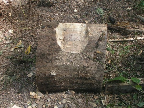 walnut bench leg finished sept 2012.jpg