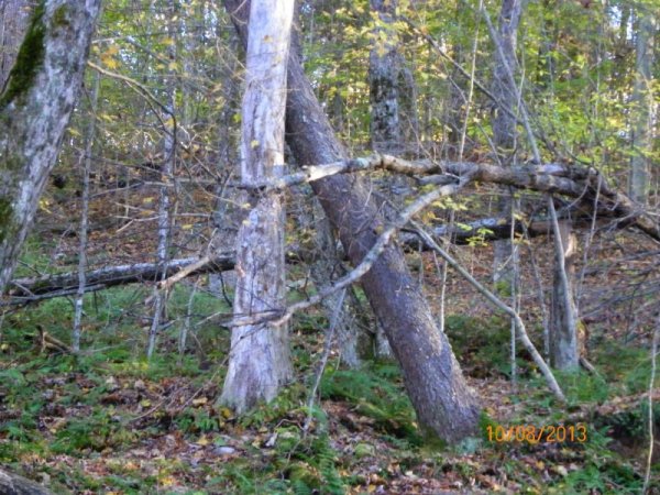 100_7969.JPG