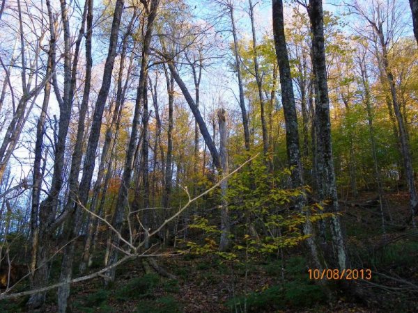 100_7971.JPG