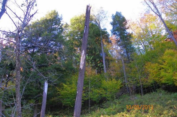100_7977.JPG