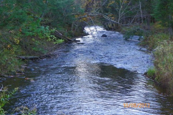 100_7980.JPG