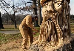 chainsaw carving.jpg