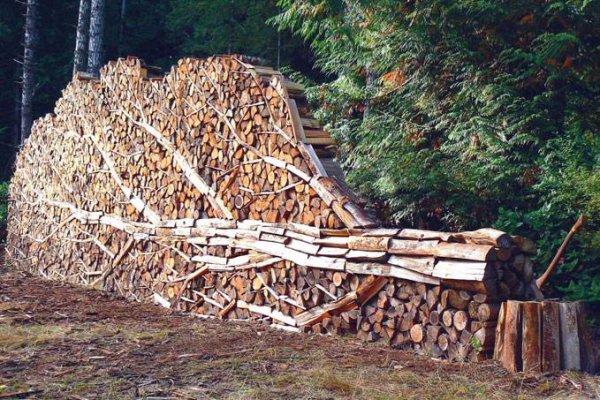 firewood tree.jpg