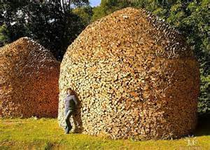 dome wood stacks.jpg