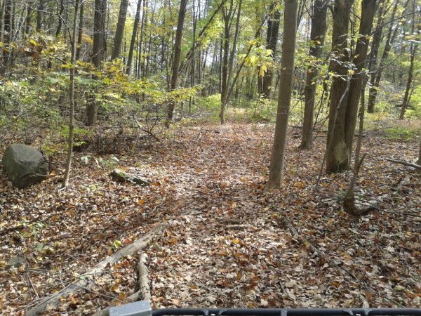 20131013_134732.jpg
