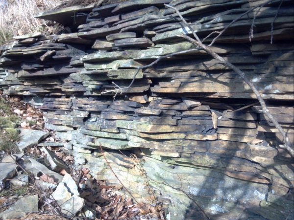 2012-11-26_10-24-33_122.jpg