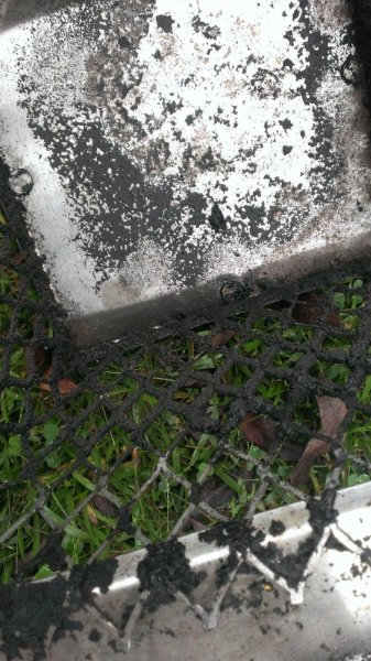 IMAG0300.jpg