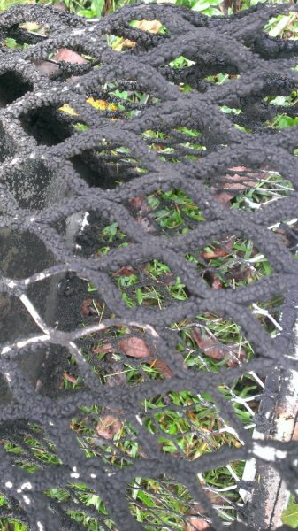 IMAG0302.jpg