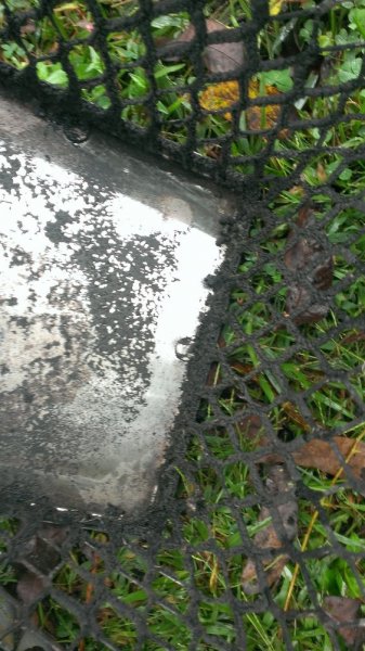IMAG0304.jpg