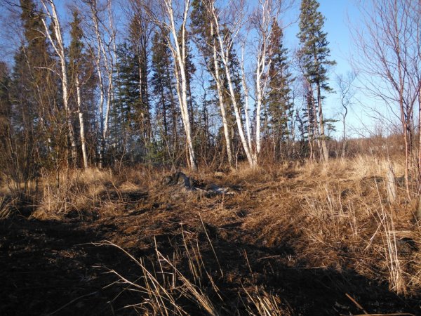 DSCF2598.JPG