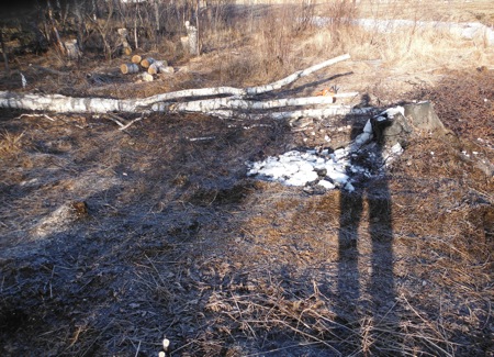 DSCF2642.JPG