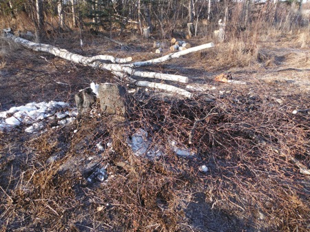 DSCF2641.JPG