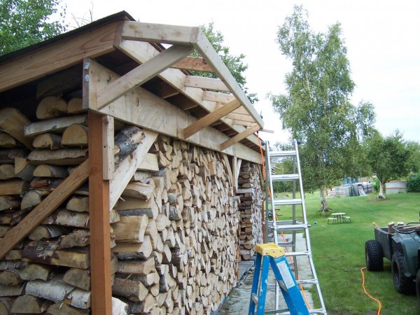 10 X 16 Basic Wood Shed Wood Port Firewood Hoarders Club