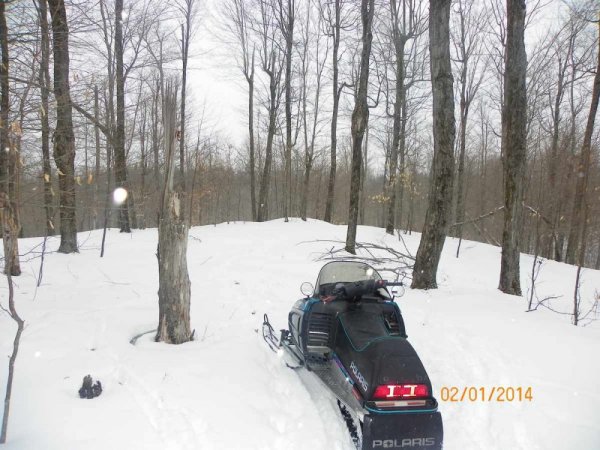 100_8542.JPG