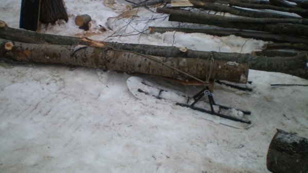 ski load carrier.jpg