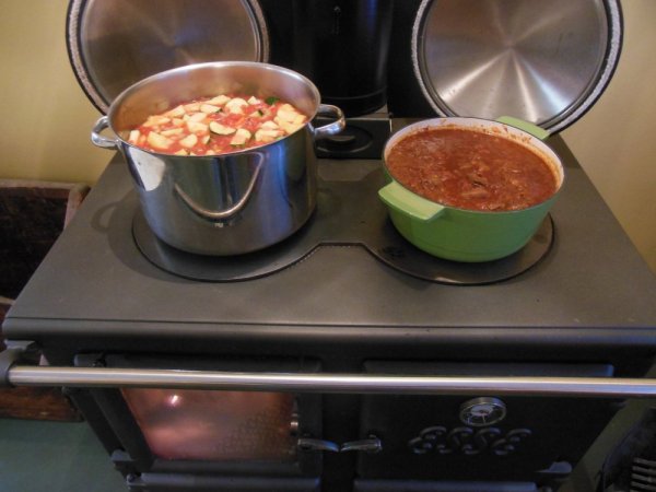 Vegetable Soup and Venison Chili on the Esse 001.JPG