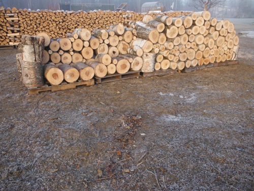 DSCF2645.JPG