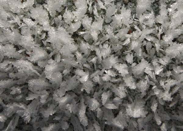 frost5.JPG