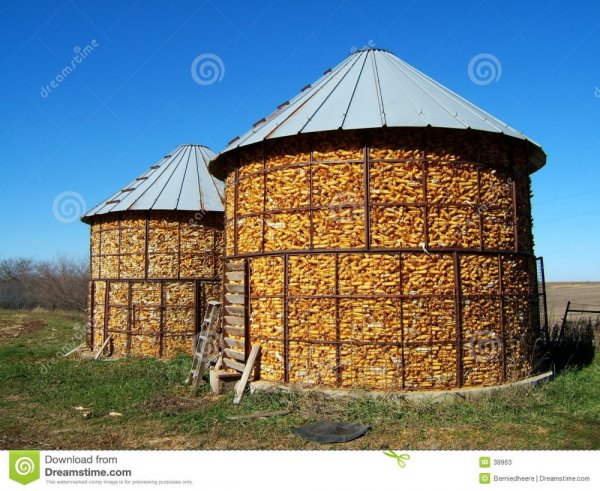 corn-cribs-38963.jpg