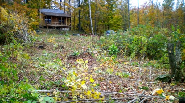 Cabin from jungle.jpg