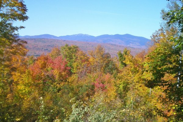 Cabin fall view.jpg