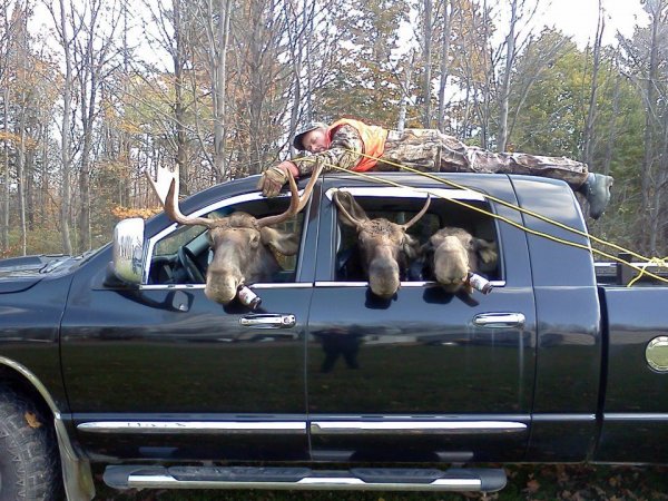 moose huntin1.jpg