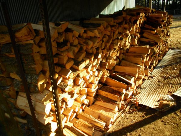 SANY1049.JPG