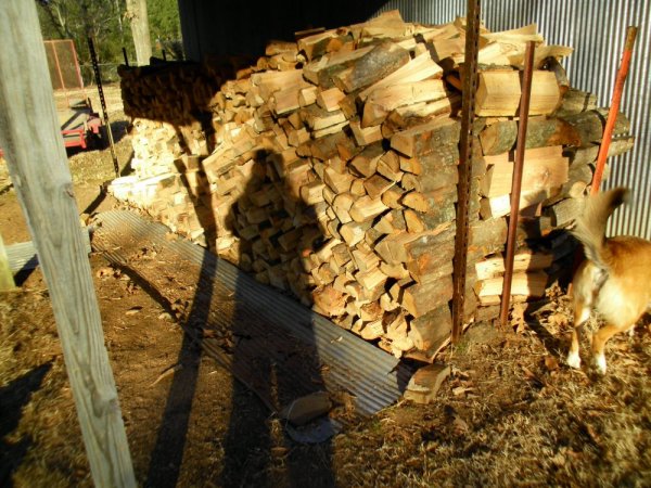 SANY1050.JPG