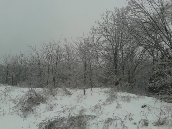 20140205_151213.jpg