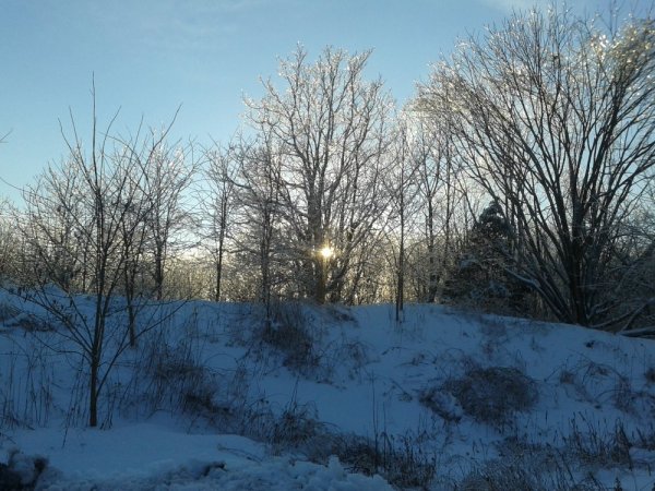 20140206_163557.jpg
