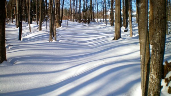 1st snow shoe path home.jpg