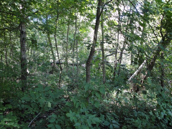 DSC01896.JPG
