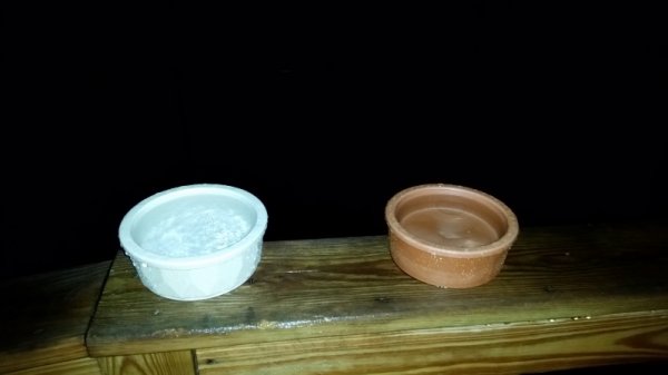 bowels of rain water 2 inches each.jpg