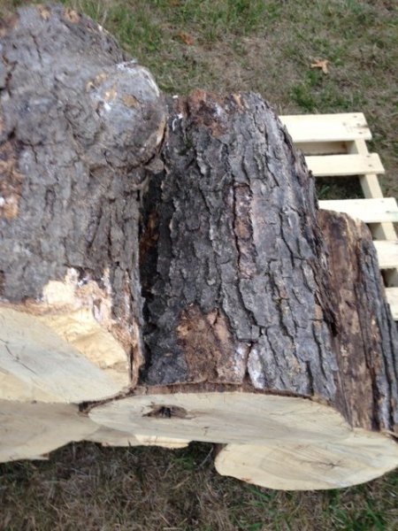 WOOD.JPG