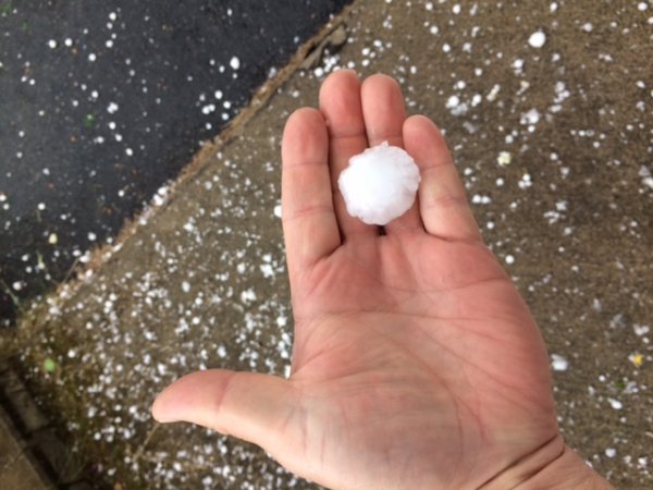 hail 1.JPG