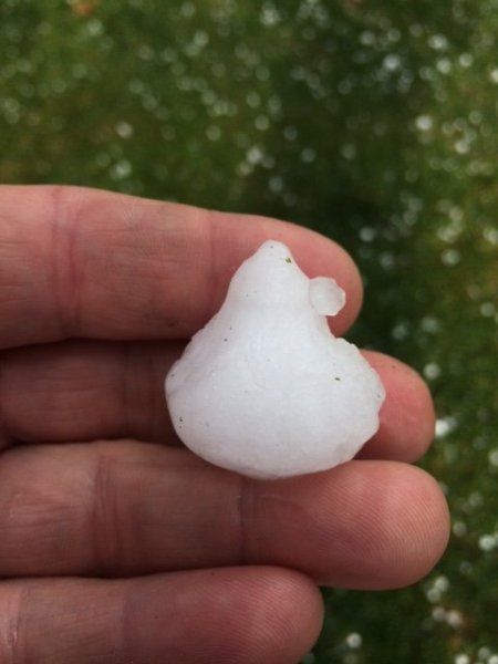 hail 2.JPG
