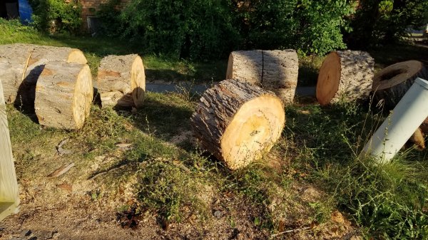20160813_192411[1].jpg