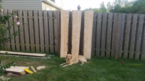 20160818_190529.jpg