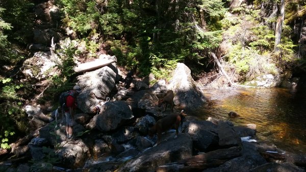 20160823_145631.jpg