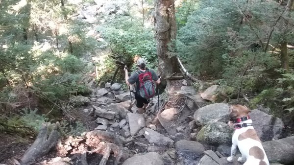 20160823_145254.jpg