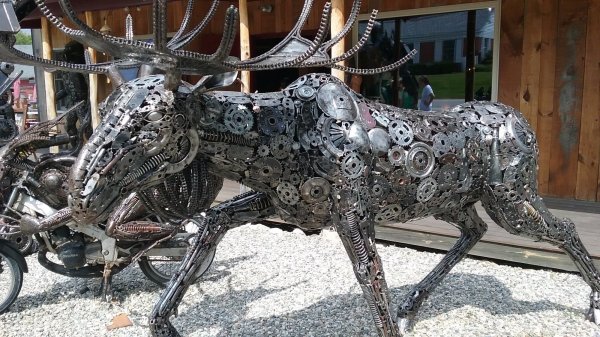 20160825_114553.jpg