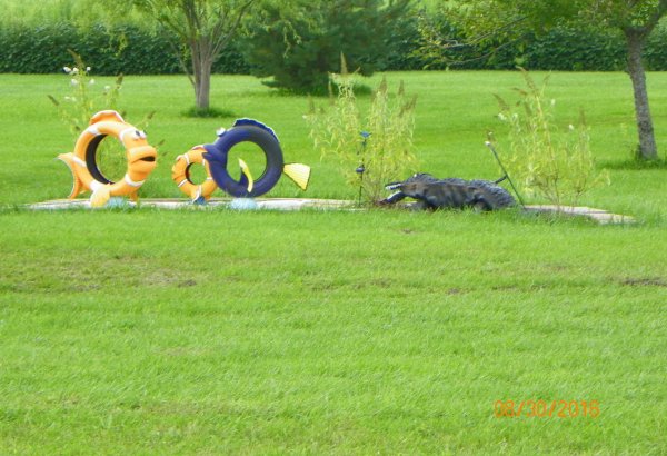 Tires-fish-gator.JPG