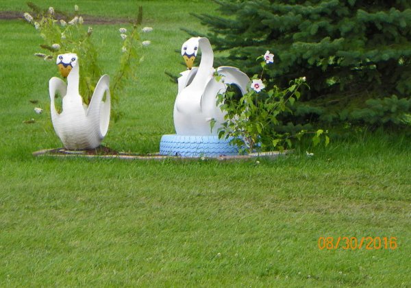 Tires-Geese.JPG