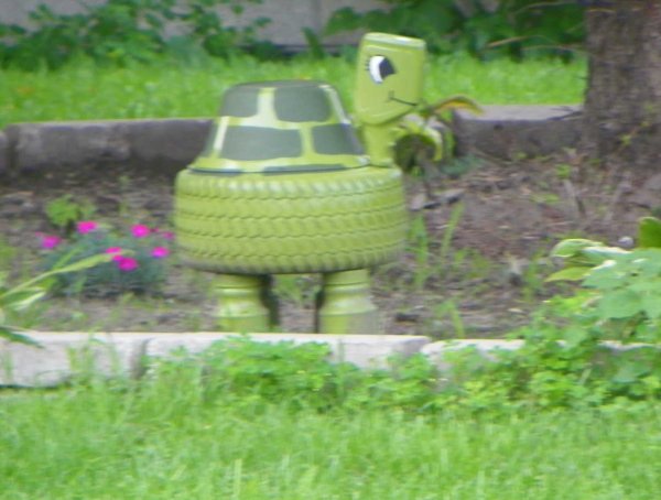 Tires-turtle.JPG